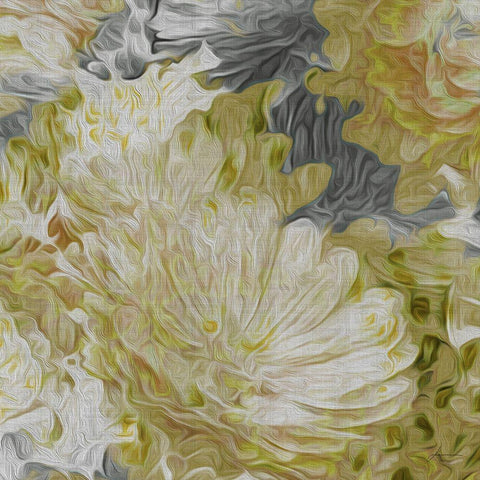 Custom Mums in Sun II (ASH) Black Modern Wood Framed Art Print with Double Matting by Burghardt, James