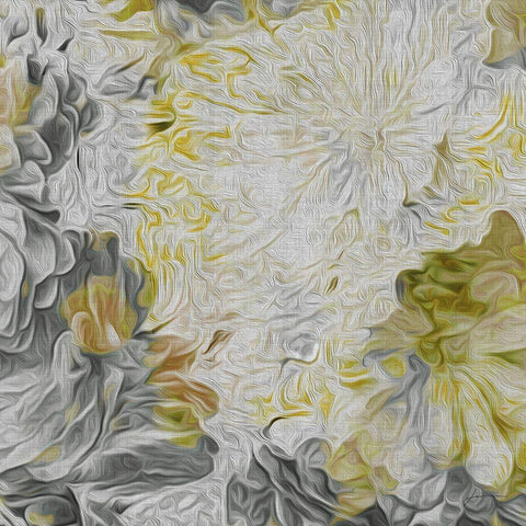 Custom Mums in Sun IV (ASH) Black Ornate Wood Framed Art Print with Double Matting by Burghardt, James