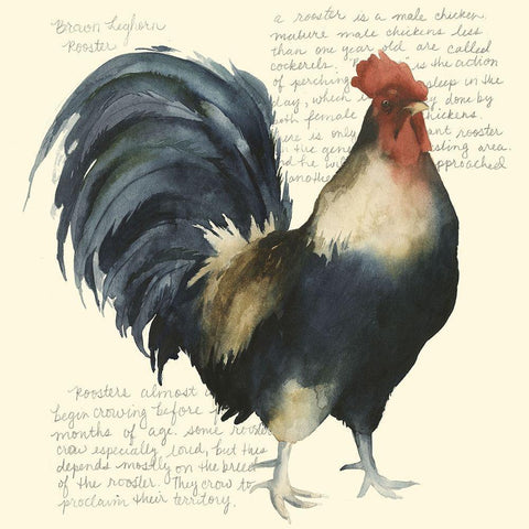 Custom Roosters Crow I (ASH) Black Modern Wood Framed Art Print by Popp, Grace