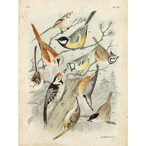 Custom Gathering of Birds II (ASH) Black Modern Wood Framed Art Print by Lubbert, G.