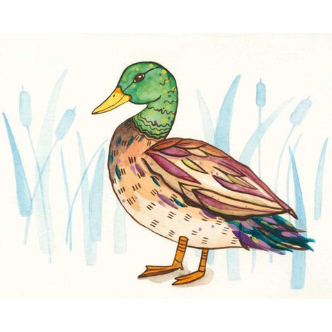 Wetland Mallard I Black Modern Wood Framed Art Print by Ewer, Rebekah