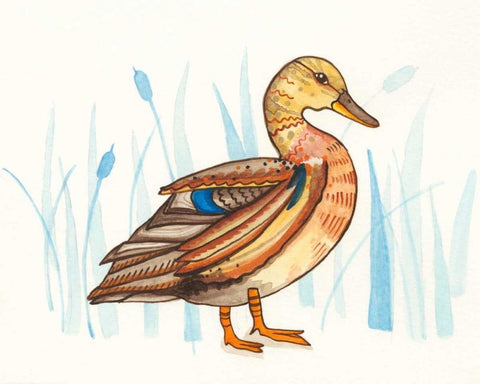 Wetland Mallard II Black Ornate Wood Framed Art Print with Double Matting by Ewer, Rebekah