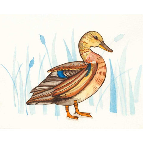 Wetland Mallard II Gold Ornate Wood Framed Art Print with Double Matting by Ewer, Rebekah