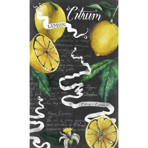 Chalkboard Citrus I Black Modern Wood Framed Art Print by Popp, Grace
