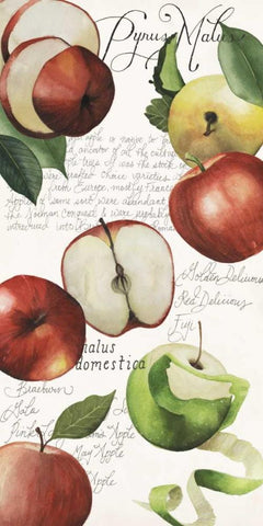 Pyrus Study II White Modern Wood Framed Art Print with Double Matting by Popp, Grace