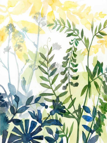 Layered Blooms II Black Ornate Wood Framed Art Print with Double Matting by Meagher, Megan