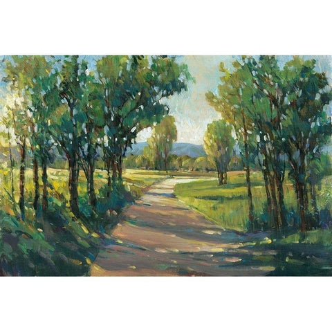 UA Lush Landscape II White Modern Wood Framed Art Print by OToole, Tim