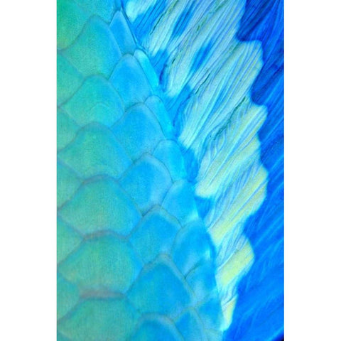 Solace - La Paz, Mexico White Modern Wood Framed Art Print by Factor, Beverly