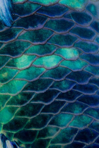 Ripples - Malaysia White Modern Wood Framed Art Print with Double Matting by Factor, Beverly