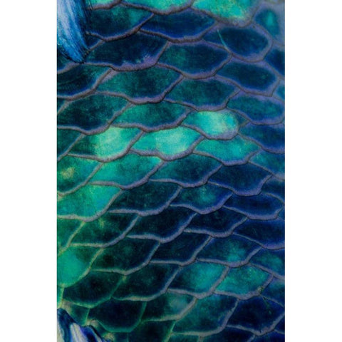 Ripples - Malaysia White Modern Wood Framed Art Print by Factor, Beverly