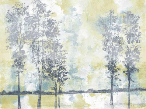Watercolor Mist II White Modern Wood Framed Art Print with Double Matting by Studio W