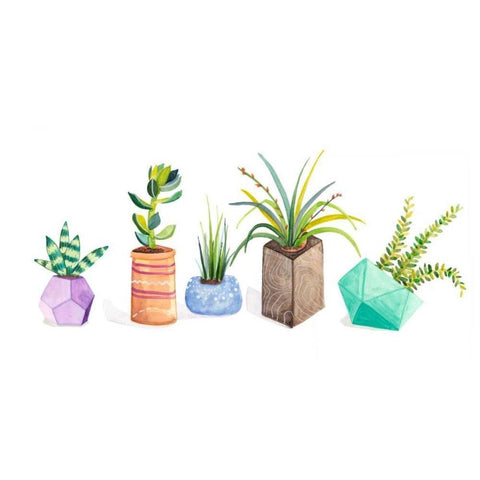 Succulent Display I White Modern Wood Framed Art Print by Ewer, Rebekah