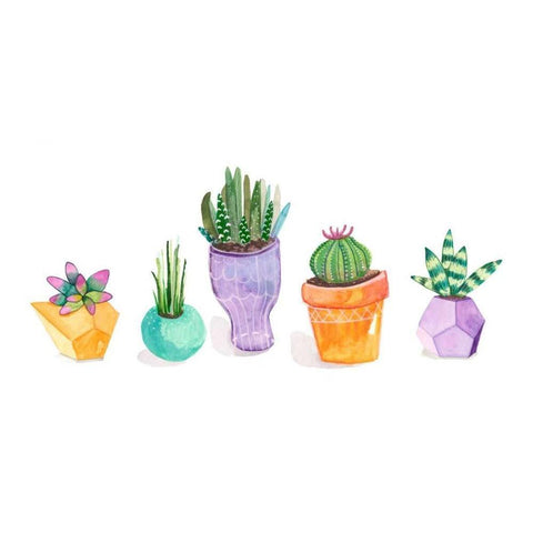 Succulent Display II White Modern Wood Framed Art Print by Ewer, Rebekah