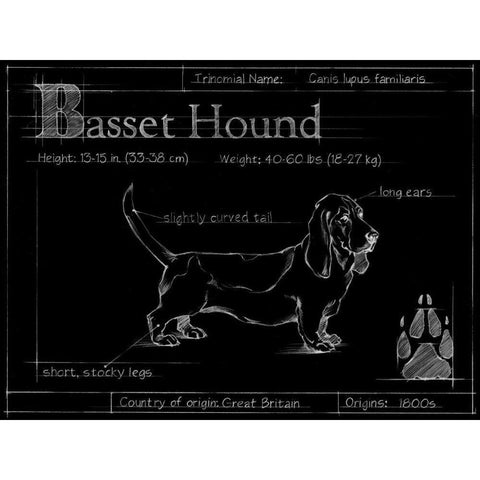 Blueprint Bassett Hound Gold Ornate Wood Framed Art Print with Double Matting by Ethan Harper
