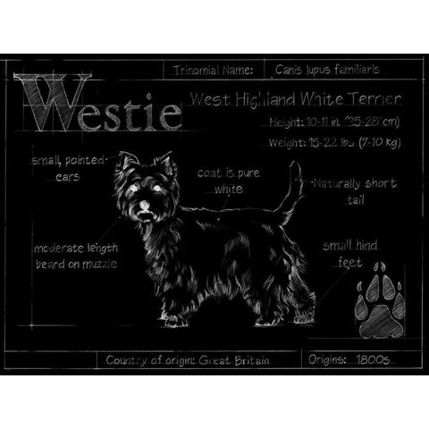 Blueprint Westie Gold Ornate Wood Framed Art Print with Double Matting by Ethan Harper