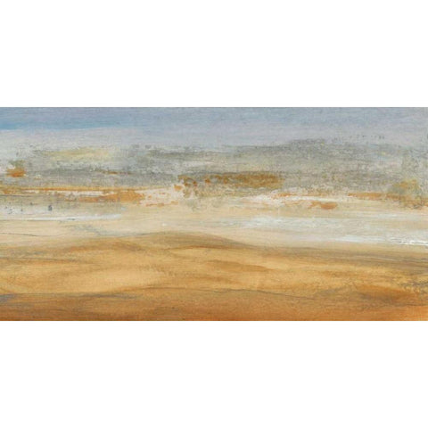 Approaching Haboob II Gold Ornate Wood Framed Art Print with Double Matting by OToole, Tim