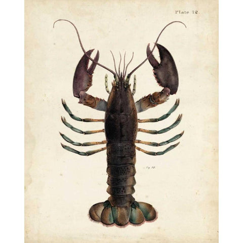 Vintage Lobster Gold Ornate Wood Framed Art Print with Double Matting by Dekay