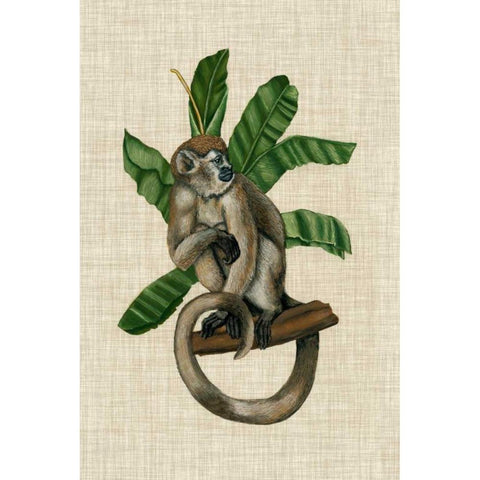 Canopy Monkey I White Modern Wood Framed Art Print by McCavitt, Naomi