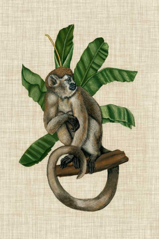 Canopy Monkey I White Modern Wood Framed Art Print with Double Matting by McCavitt, Naomi