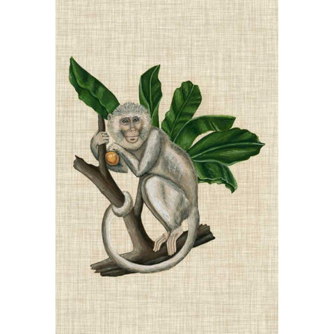 Canopy Monkey II White Modern Wood Framed Art Print by McCavitt, Naomi