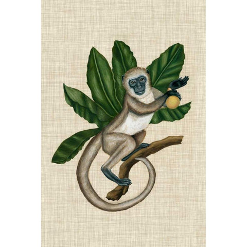 Canopy Monkey III White Modern Wood Framed Art Print by McCavitt, Naomi