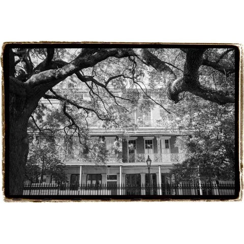 Jackson Square, New Orleans Black Modern Wood Framed Art Print with Double Matting by DeNardo, Laura