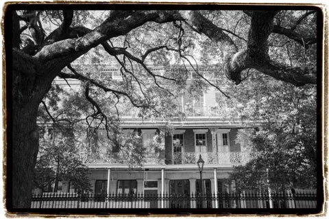 Jackson Square, New Orleans Black Ornate Wood Framed Art Print with Double Matting by DeNardo, Laura