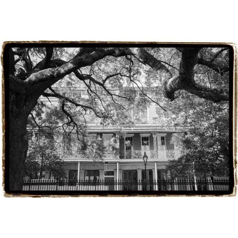 Jackson Square, New Orleans Black Modern Wood Framed Art Print with Double Matting by DeNardo, Laura