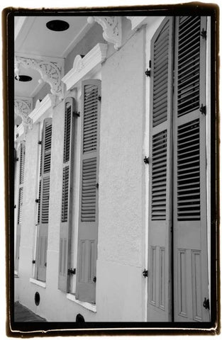 French Quarter Architecture IV Black Ornate Wood Framed Art Print with Double Matting by DeNardo, Laura