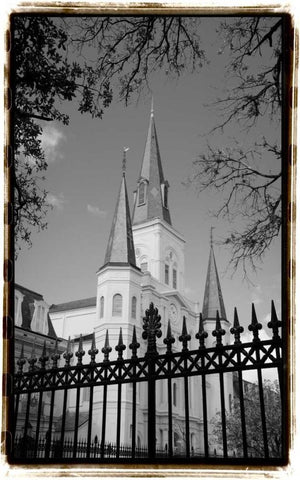 St. Louis Cathedral, Jackson Square II Black Ornate Wood Framed Art Print with Double Matting by DeNardo, Laura