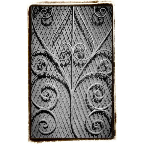 French Quarter Ironwork I Gold Ornate Wood Framed Art Print with Double Matting by DeNardo, Laura