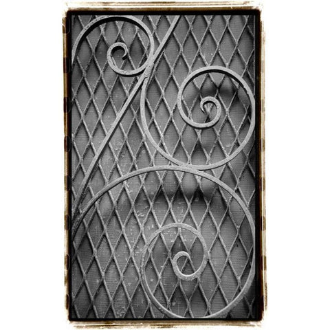 French Quarter Ironwork II Gold Ornate Wood Framed Art Print with Double Matting by DeNardo, Laura