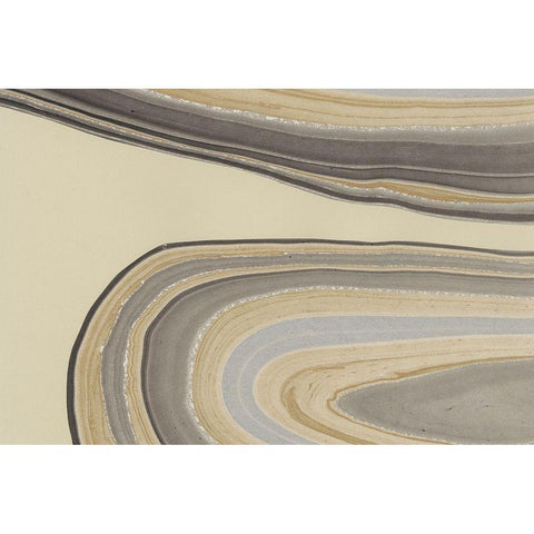 Cross Sections I Gold Ornate Wood Framed Art Print with Double Matting by Stramel, Renee W.