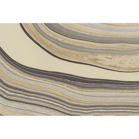 Cross Sections III Gold Ornate Wood Framed Art Print with Double Matting by Stramel, Renee W.
