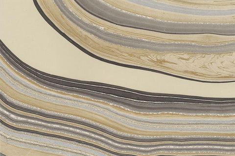 Cross Sections III Black Ornate Wood Framed Art Print with Double Matting by Stramel, Renee W.