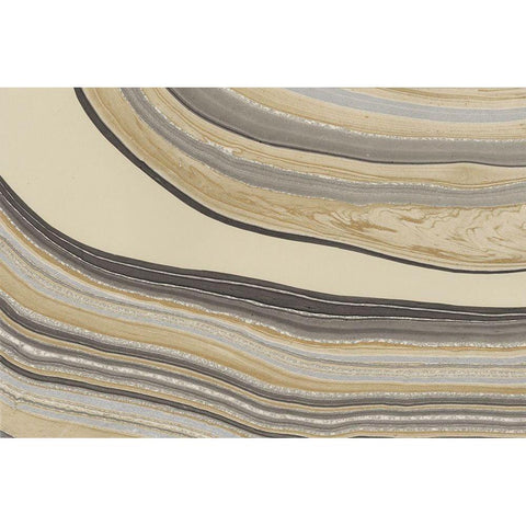 Cross Sections III Gold Ornate Wood Framed Art Print with Double Matting by Stramel, Renee W.