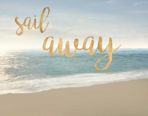 Beach Sail Away Black Ornate Wood Framed Art Print with Double Matting by McLoughlin, James