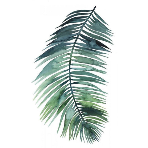 Untethered Palm VII Black Modern Wood Framed Art Print with Double Matting by Popp, Grace