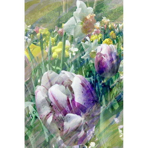 Spring at Giverny I White Modern Wood Framed Art Print by Ilosky, Pam
