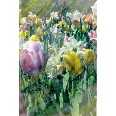 Spring at Giverny II Black Modern Wood Framed Art Print with Double Matting by Ilosky, Pam