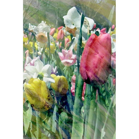 Spring at Giverny III White Modern Wood Framed Art Print by Ilosky, Pam