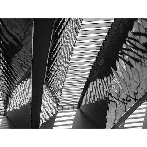 Varied Shapes I White Modern Wood Framed Art Print by Bane, Eva