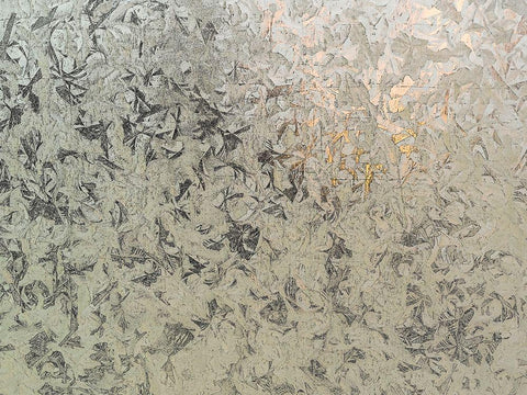 Frosty I White Modern Wood Framed Art Print with Double Matting by Bane, Eva