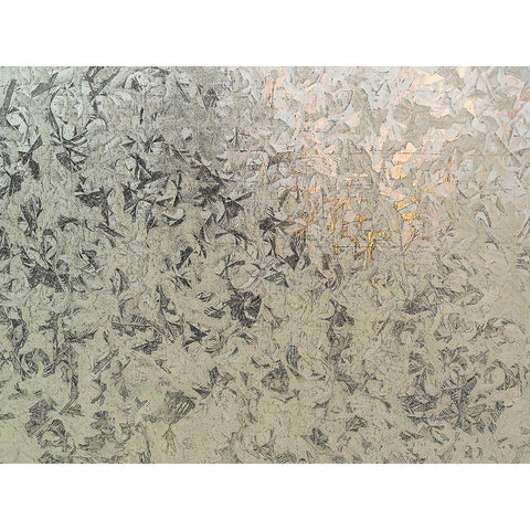 Frosty I Black Modern Wood Framed Art Print by Bane, Eva