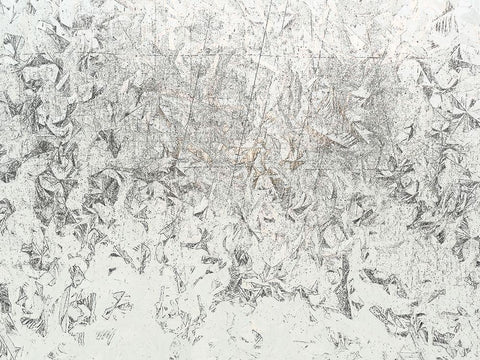 Frosty II Black Ornate Wood Framed Art Print with Double Matting by Bane, Eva