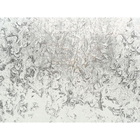 Frosty II Black Modern Wood Framed Art Print by Bane, Eva