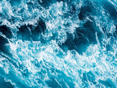 Turbulent Tasman Sea II Black Ornate Wood Framed Art Print with Double Matting by Bane, Eva