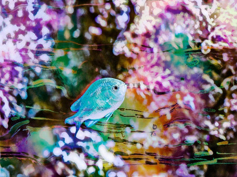 Vibrant Reef I Black Ornate Wood Framed Art Print with Double Matting by Bane, Eva