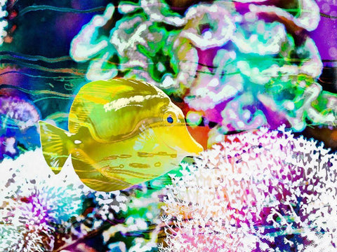 Vibrant Reef II Black Ornate Wood Framed Art Print with Double Matting by Bane, Eva