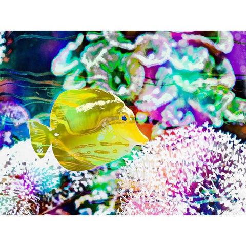 Vibrant Reef II Black Modern Wood Framed Art Print by Bane, Eva